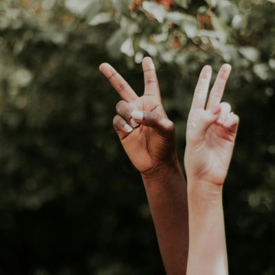 Major government collapses overnight