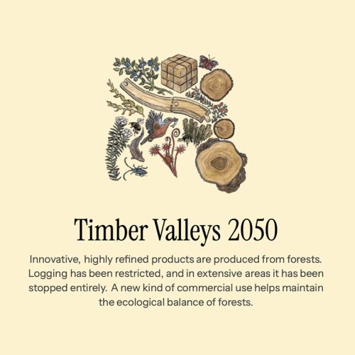 timber timber
